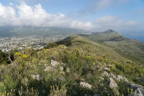 2025-05-07 Volujica, Bar Municipality 2
