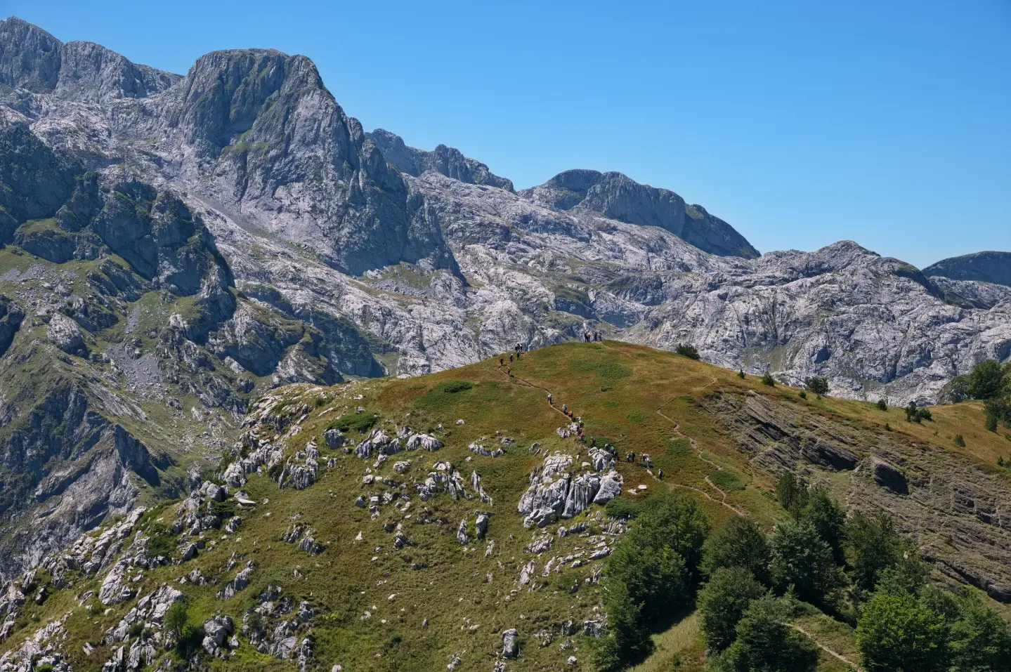Rožaje