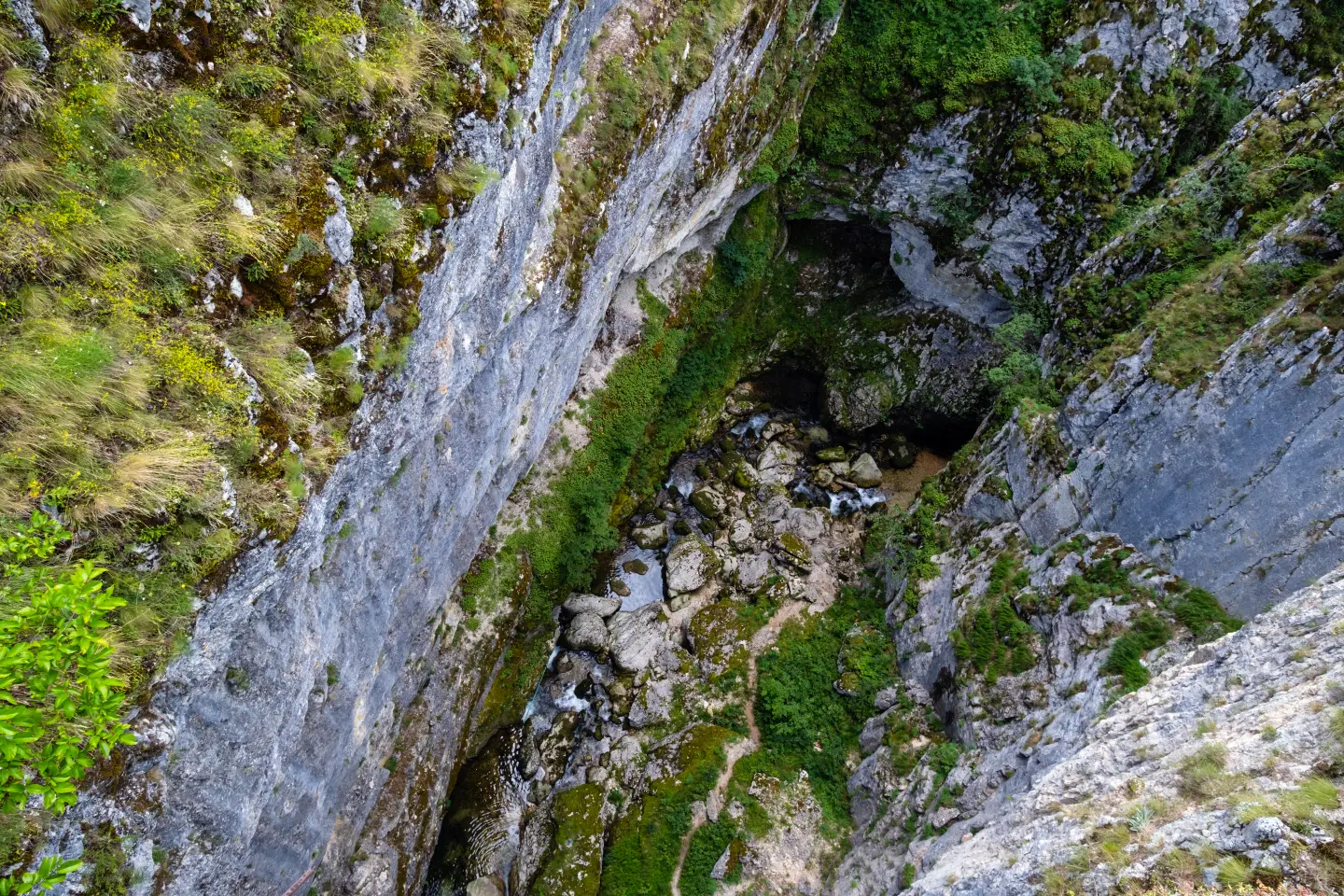 Šavnik