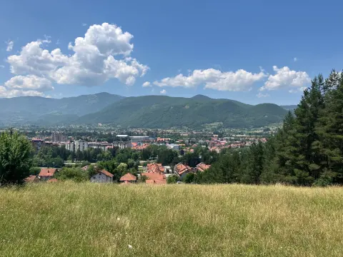 Berane