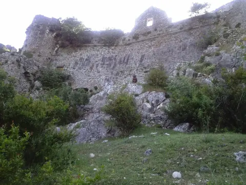 Zabljak Crnojevica and a cow