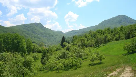 Kostenica, Bijelo Polje