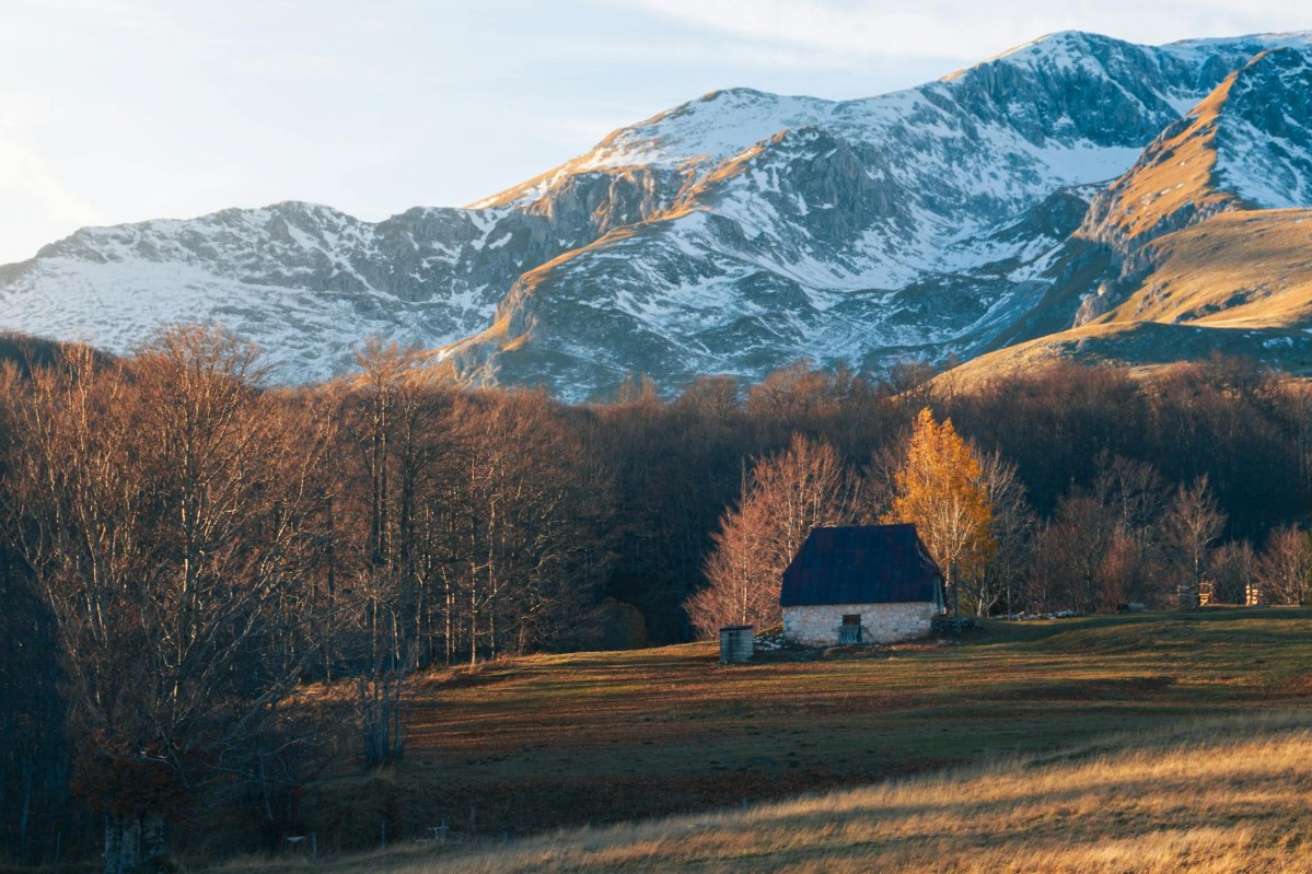 Durmitor mountain landscape with pine forests