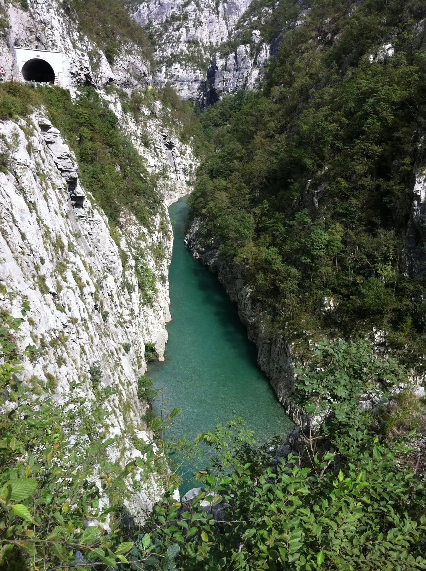 The green Morača between the cliffs