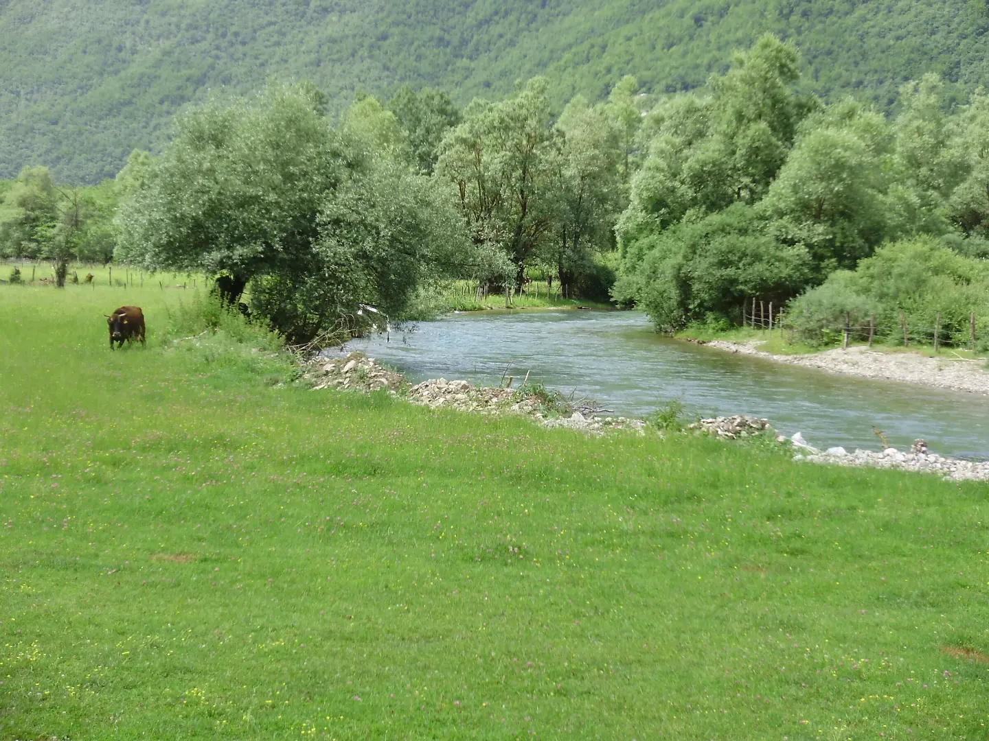 Skakavac stream valley