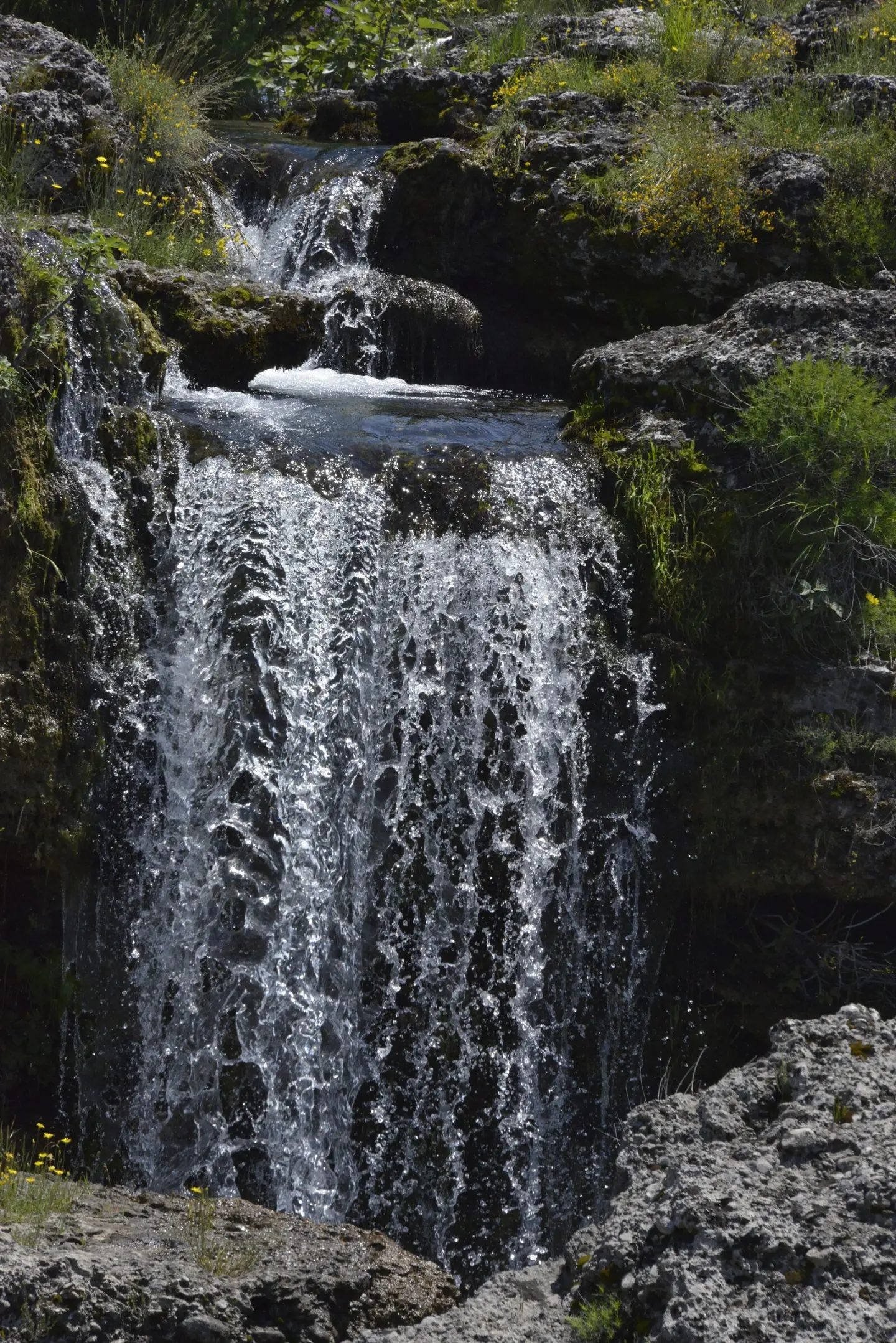 The Niagara fall in spring