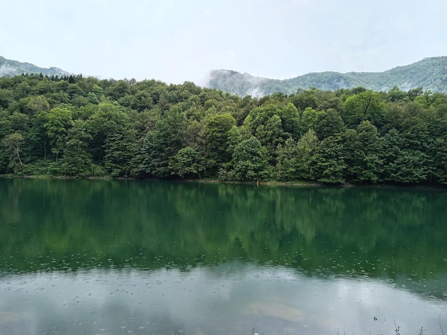 Biogradsko Lake below Bjelasica