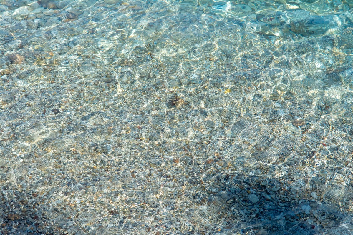 החוף המזרחי והמערבי