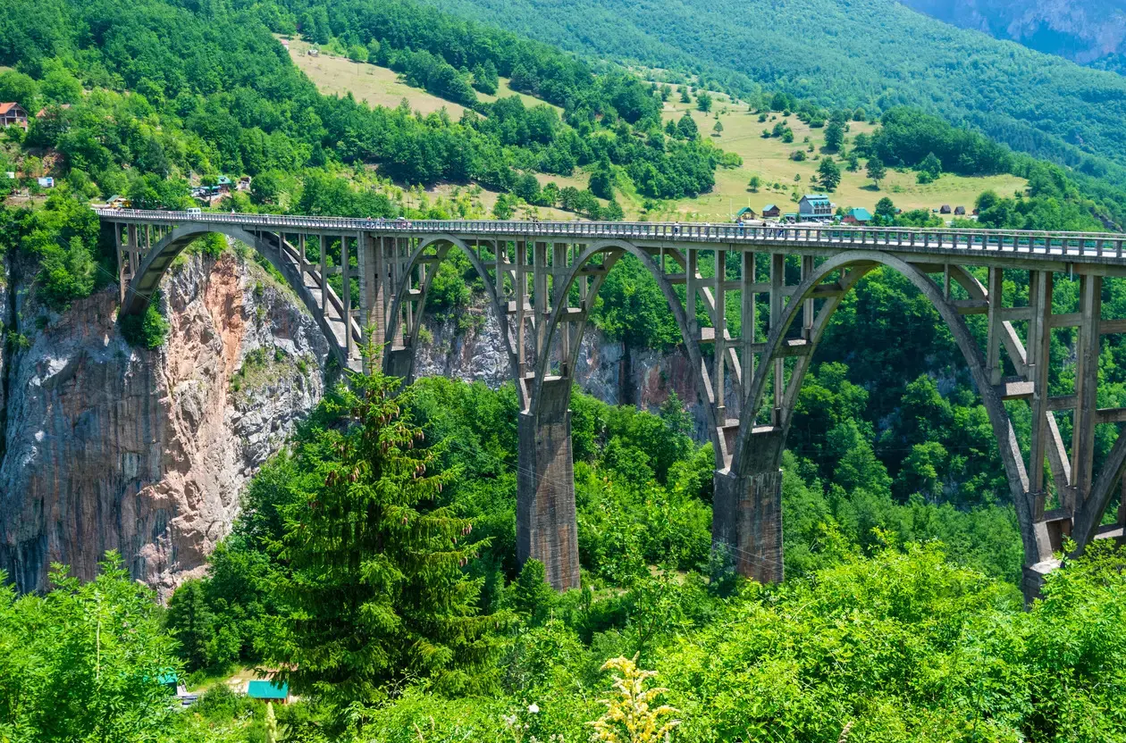 Đurđevića Tara Bridge