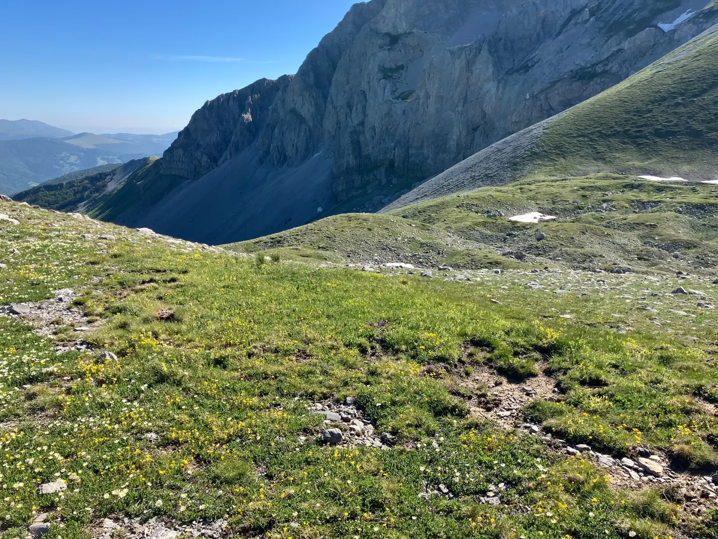 Komovi cliffs above the pasture, with the last snow in June