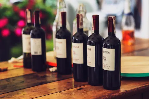 Wine and Bleak Festival — 3