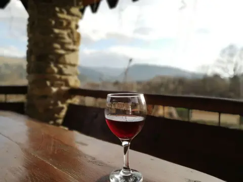Wine and Bleak Festival — 1