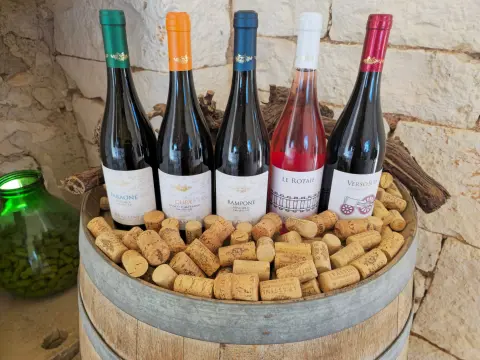 Wine and Bleak Festival — 2