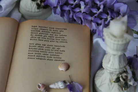 Ratković Poetry Evenings — 2