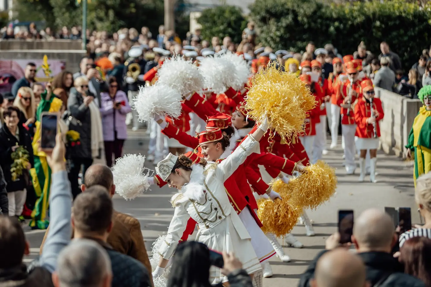 Festival mimoze