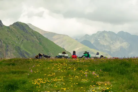 Mountain Flower Days (Dani planinskog cvijeća) — 3