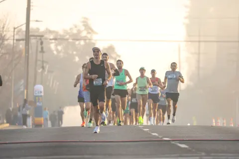 Boka Marathon (Bokeški maraton) — 2