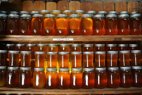 Podgorica Honey Fair (Sajam pčelarstva) — 2