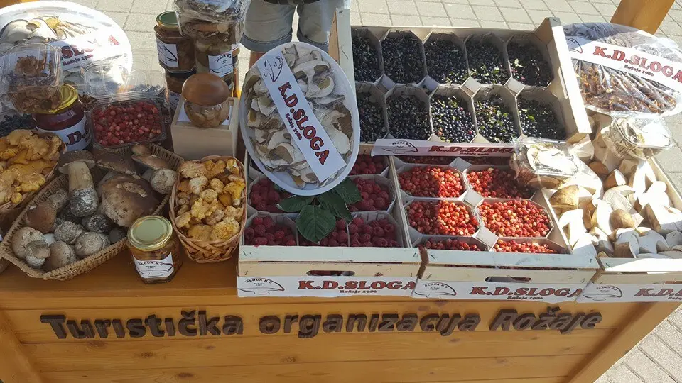Días de Setas y Hierbas Medicinales