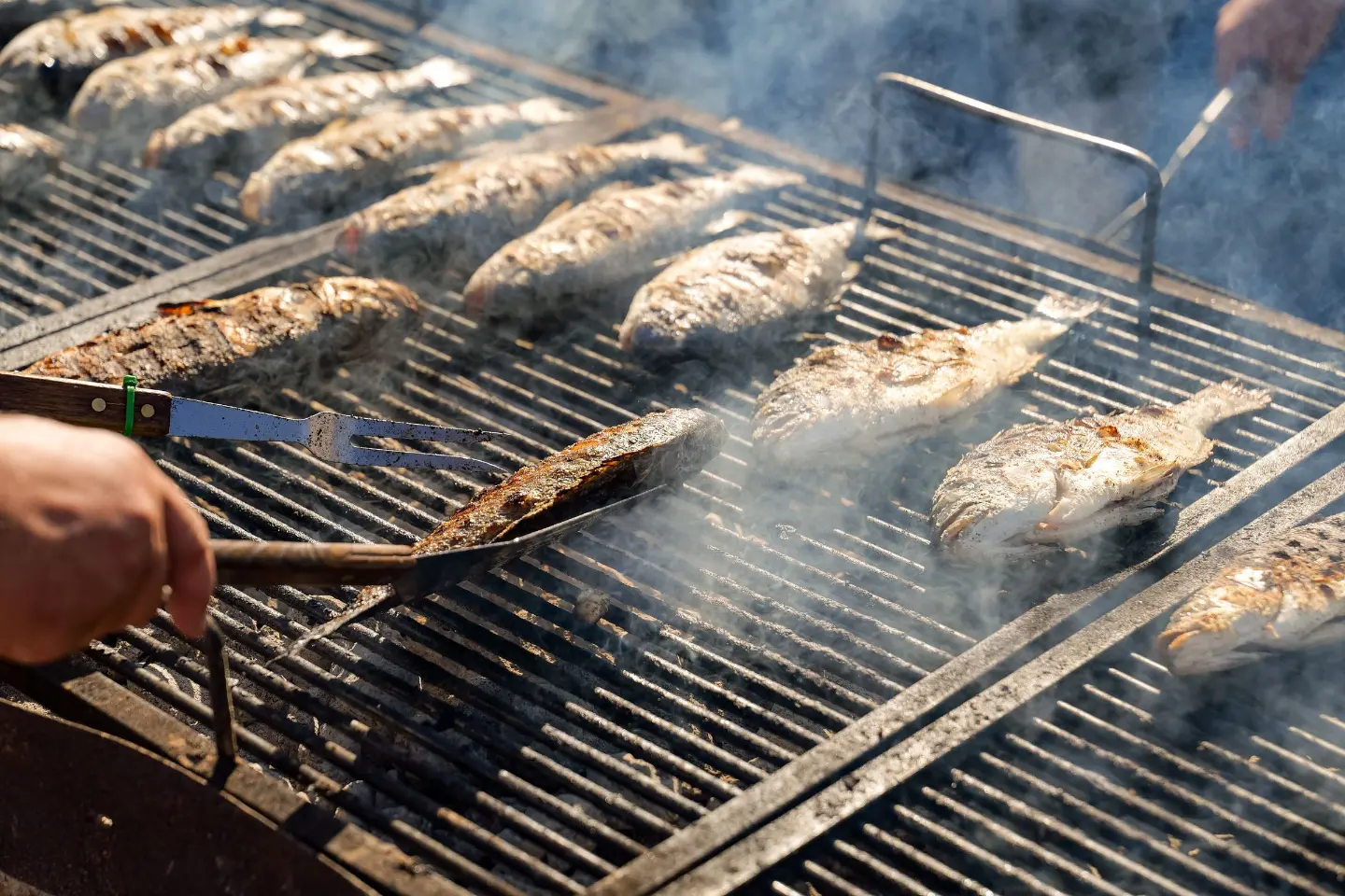 Fish and Wine Feast (Fešta od ribe i vina)