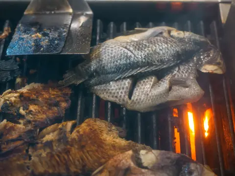 Fish and Wine Feast (Fešta od ribe i vina) — 1