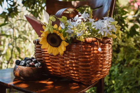 Blueberry Days (Dani borovnice) — 3