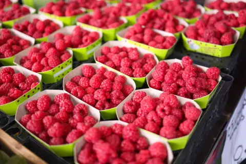 Raspberry Days (Dani maline) — 1