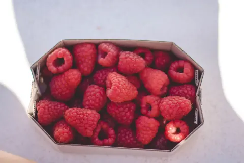 Raspberry Days (Dani maline) — 3