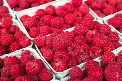Raspberry Days (Dani maline) — 2