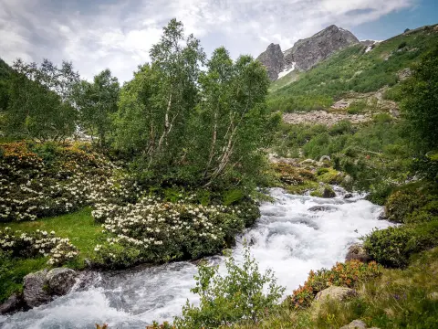 Gusinje Summer (Gusinjsko ljeto) — 1