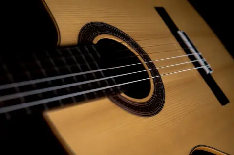 Nikšić Guitar Festival — 1