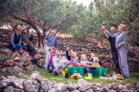 Meetings under the Old Olive Tree — 2