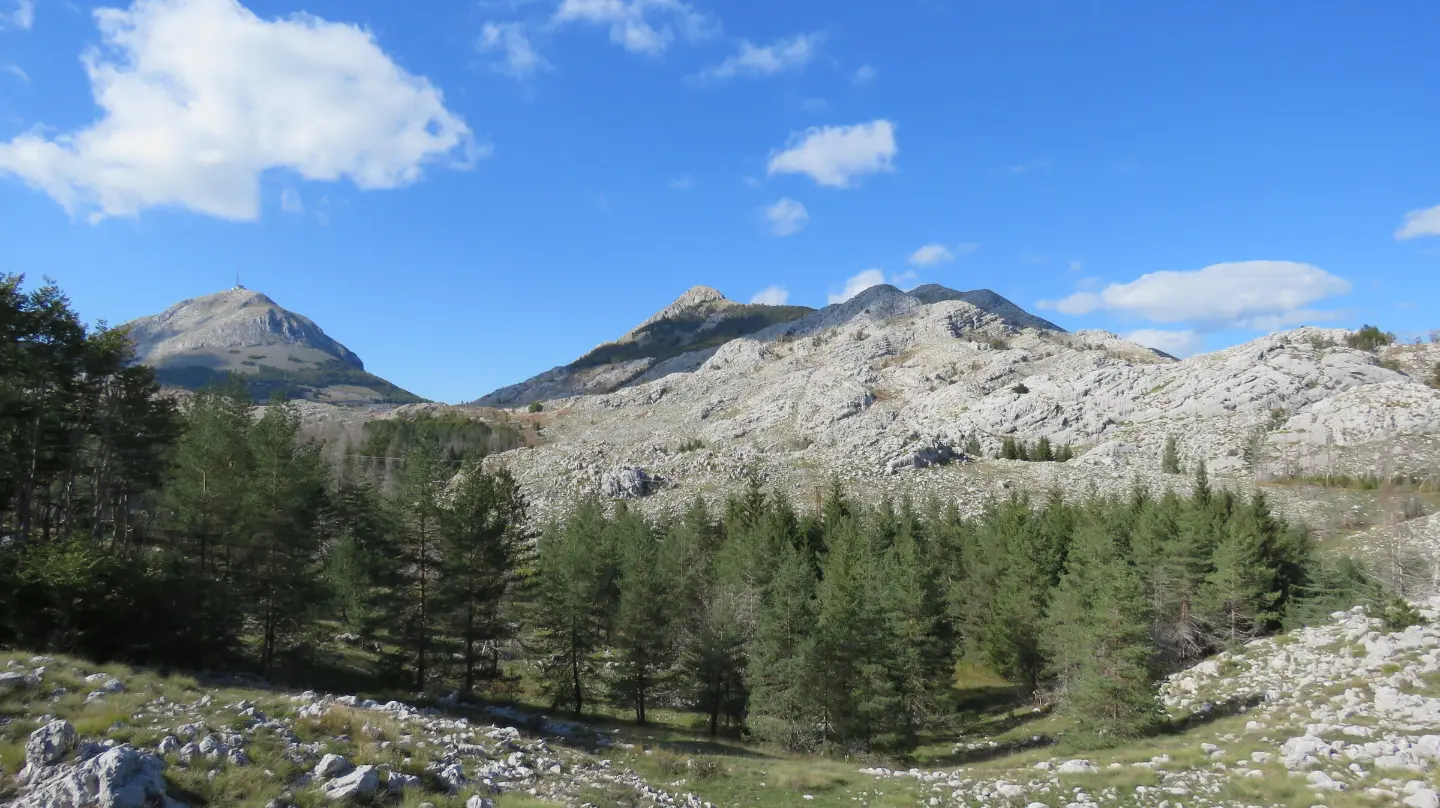 Cetinje Outdoor — Lovćen Trail