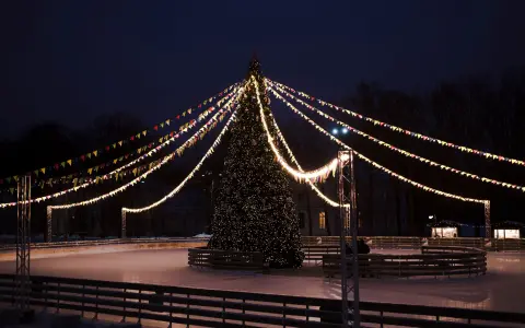 Podgorički pazar (New Year Market) — 2
