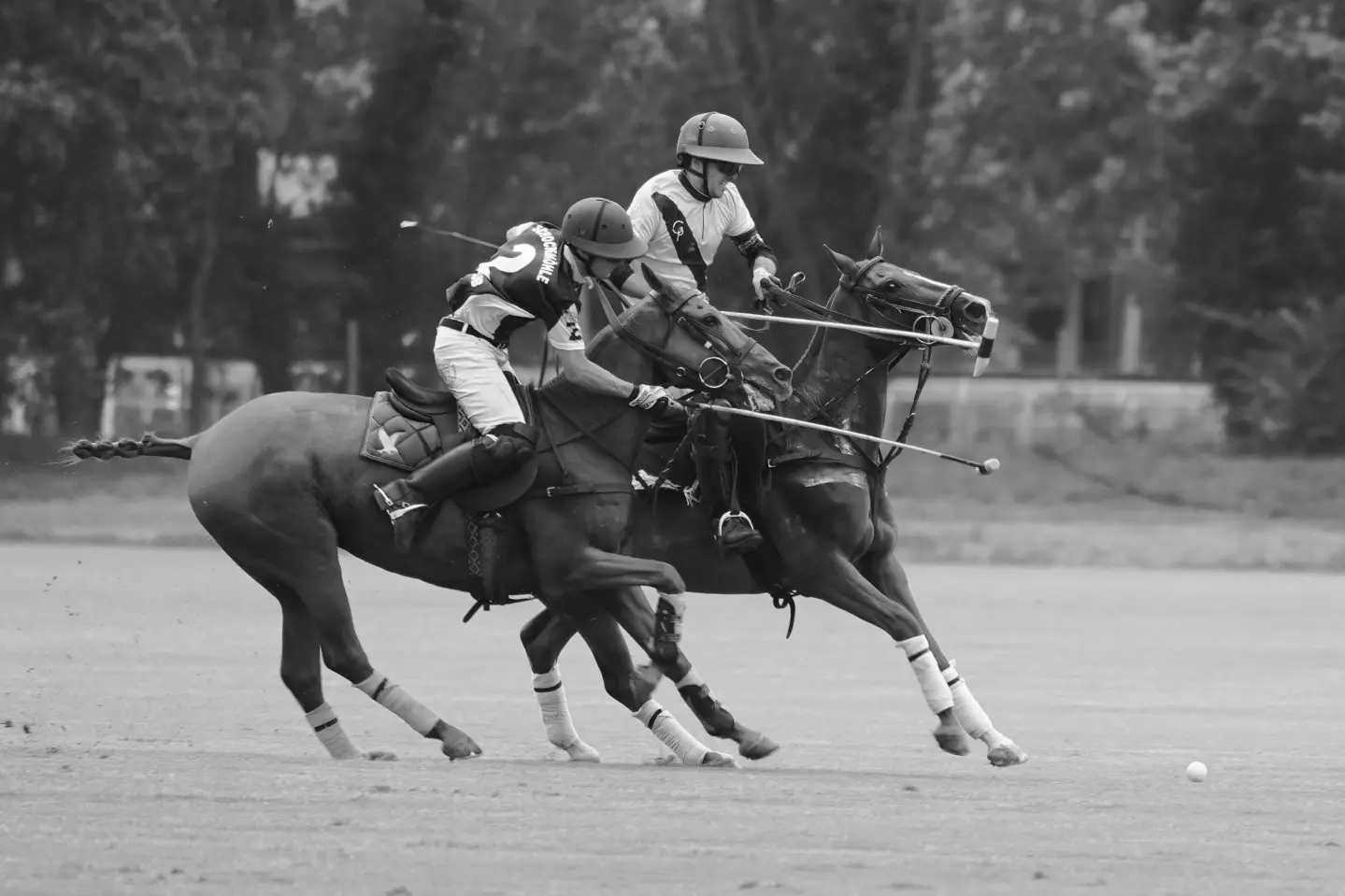 Limanda Polo