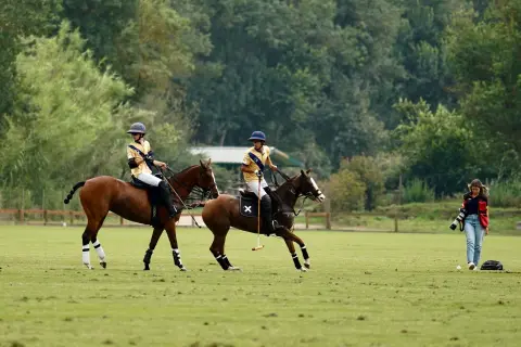 Polo in the Port — 2