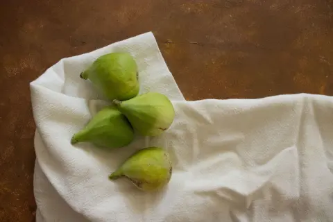 Fig Festival (Praznik smokve) — 2