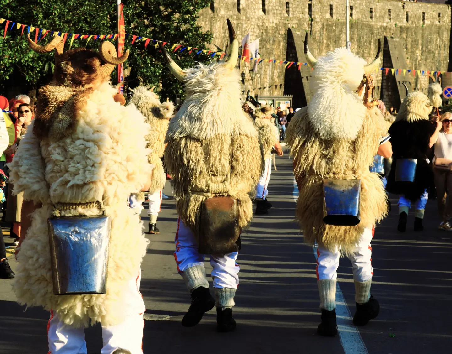 Carnaval de Kotor