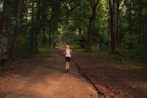 Bjelasica Trail — 2