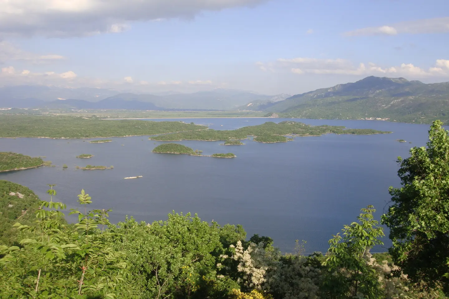 Čorbijada