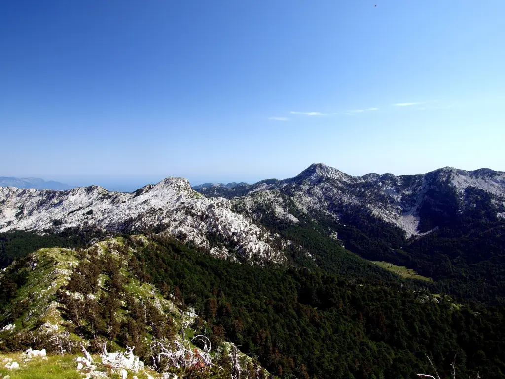 Krtolijada