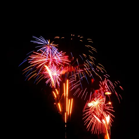 New Year's Eve in Budva — 2