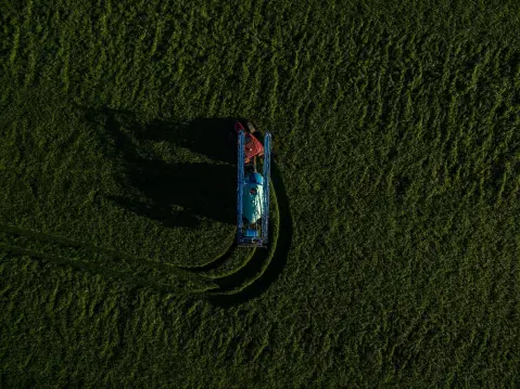 Plavski otkos (Plav Mowing Days) — 3
