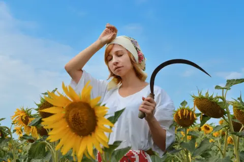 Plavski otkos (Plav Mowing Days) — 1