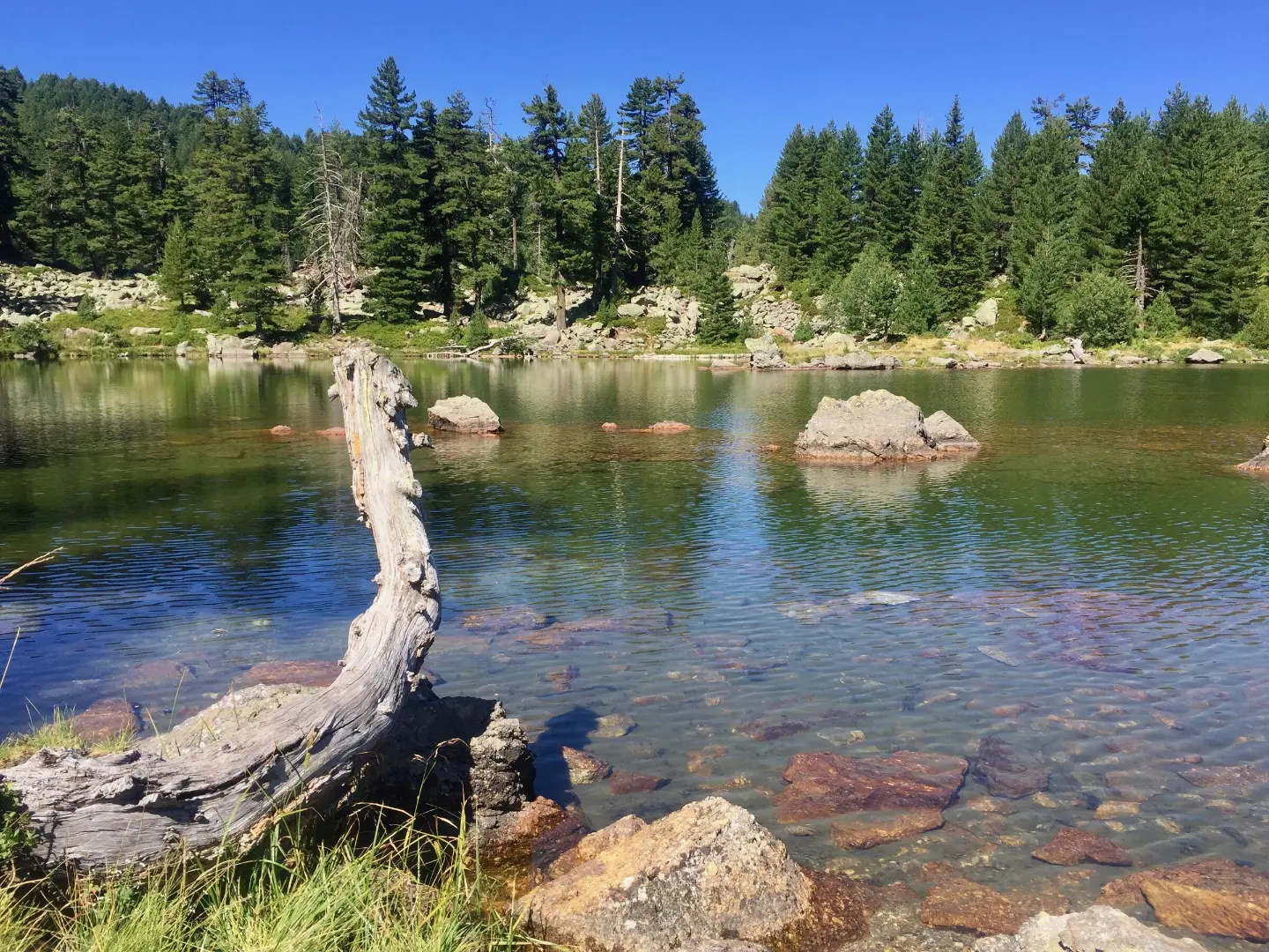 Prokletije Trail