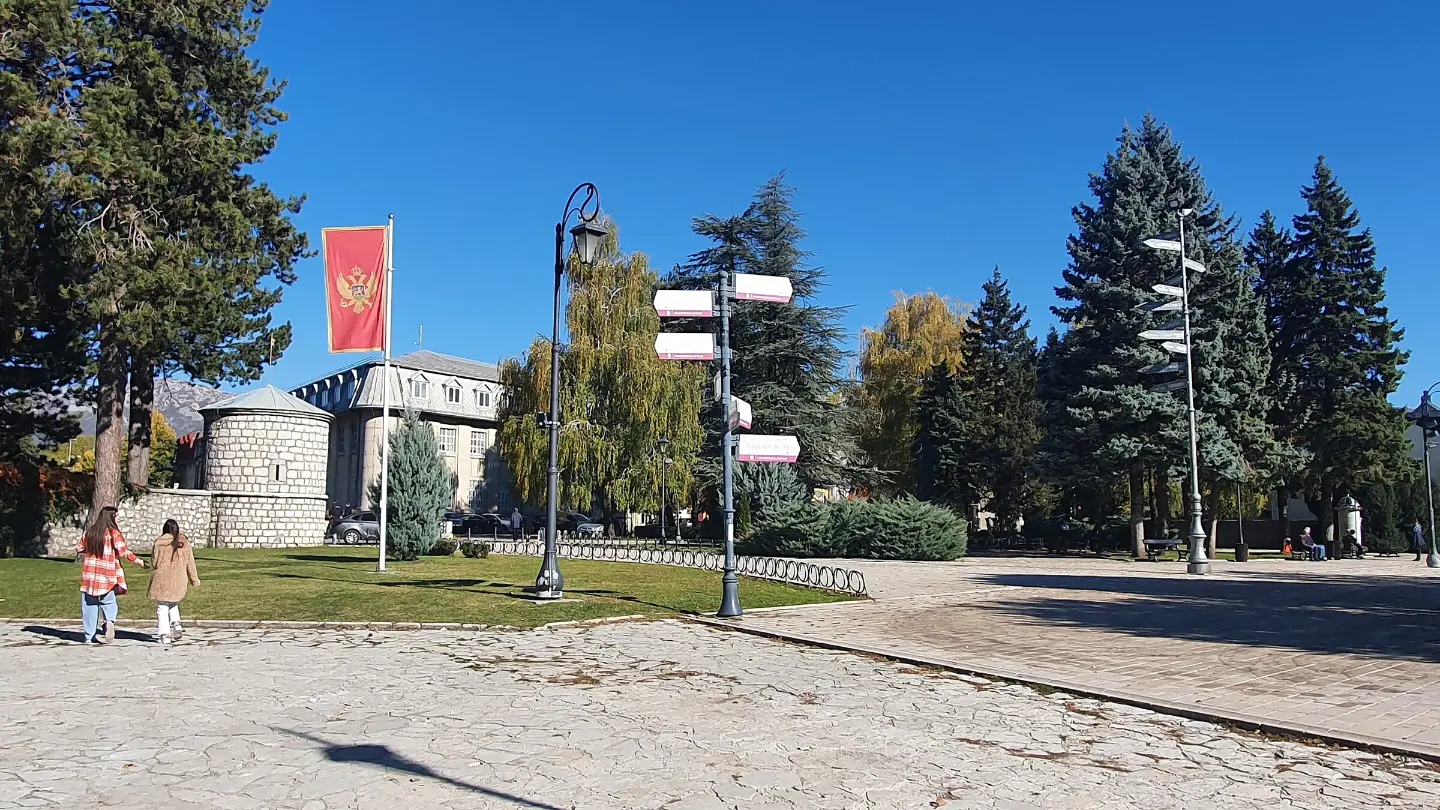 FEST Cetinje