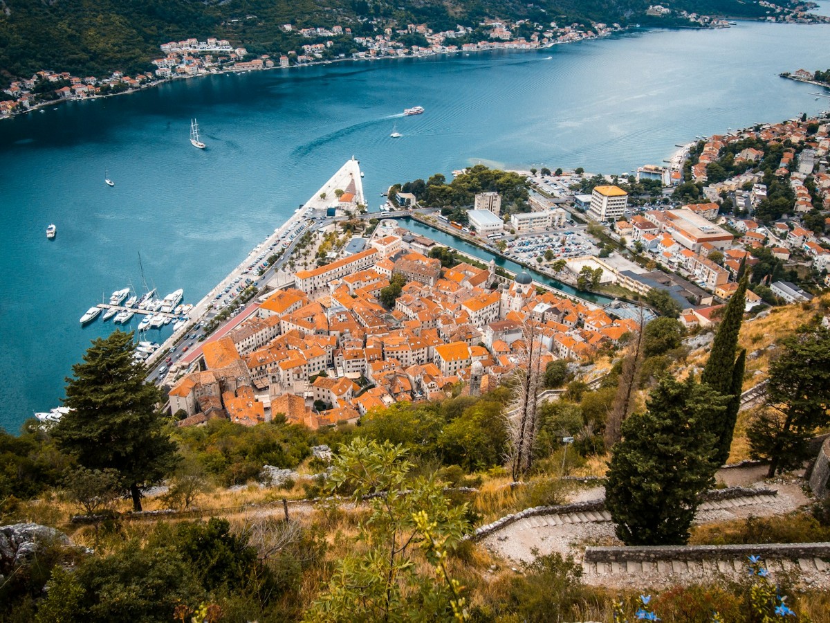 Herceg Novi Film Festival