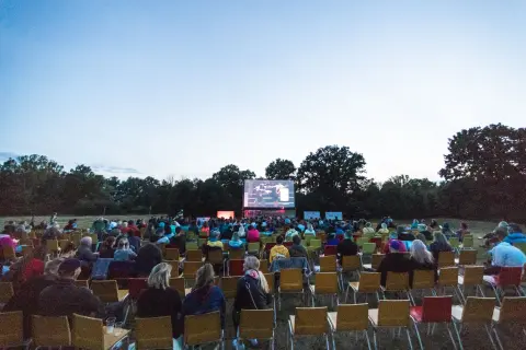 Green Montenegro International Film Fest — 2