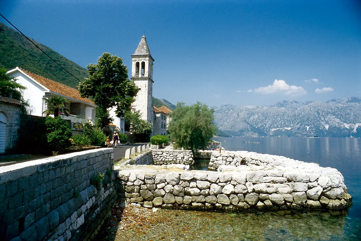 Camellia Days (Fešta kamelija)