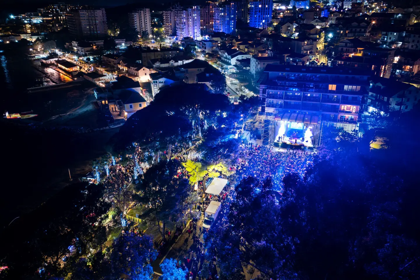 Festival de la Mimosa